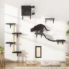 Coziwow Wall Mounted Shelves Set Cat Tree -Pet Supplies Store 665862 MAIN. AC SS1800 V1675693826