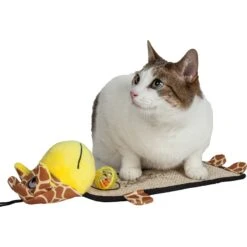 Pet Life Paw-Pleasant Eco-Natural Sisal & Jute Hanging Carpet Kitty Cat Scratcher & Toy 7 Pet Life Paw-Pleasant Eco-Natural Sisal & Jute Hanging Carpet Kitty Cat Scratcher & Toy -Pet Supplies Store 667622 PT2. AC SS1800 V1665608535