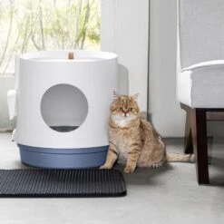 Hanamya Cat Litter Box With Scoop & Scratcher 19 Hanamya Cat Litter Box With Scoop & Scratcher -Pet Supplies Store 677142 PT8. AC SS1800 V1680728860