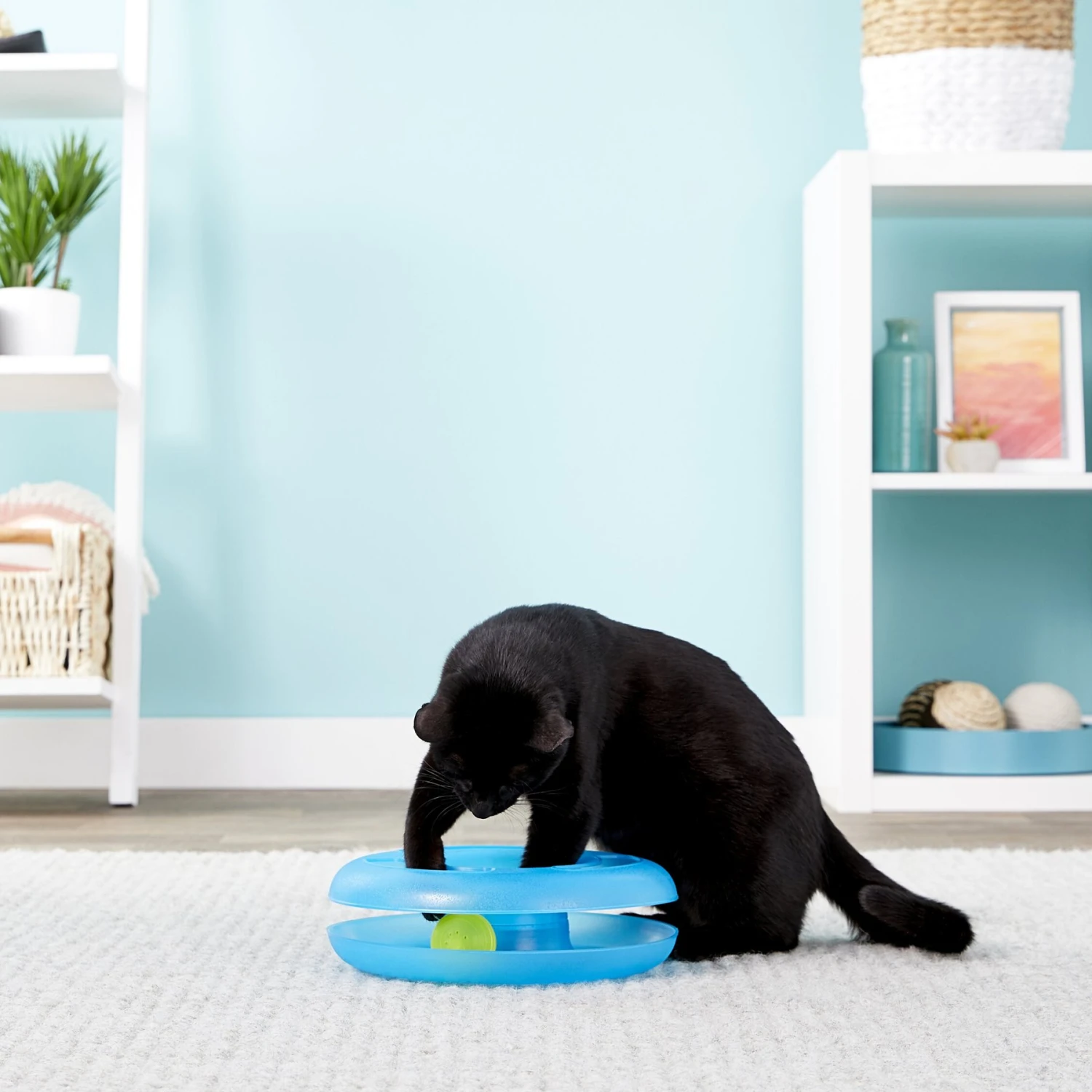 Fat Cat Crazy Circle Cat Toy 4 Fat Cat Crazy Circle Cat Toy - Image 2