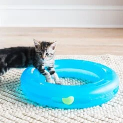 Fat Cat Crazy Circle Cat Toy 8 Fat Cat Crazy Circle Cat Toy -Pet Supplies Store 68599 PT2. AC SS1800 V1602325861