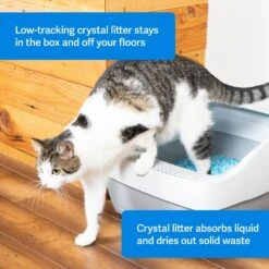 PetSafe ScoopFree Premium Crystal Litter 2-Pack & PetSafe ScoopFree Complete Reusable Litter Tray -Pet Supplies Store 694158 PT2. AC SS1800 V1668532511