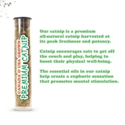 Meowijuana Refillable Get A Ride Magic Carpet Cat Toy 10 Meowijuana Refillable Get A Ride Magic Carpet Cat Toy -Pet Supplies Store 696678 PT3. AC SS1800 V1669386744