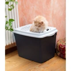 Ferplast "Jumpy" With Top Entrance Cat Litter Box, Black, Large 13 Ferplast "Jumpy" With Top Entrance Cat Litter Box, Black, Large -Pet Supplies Store 703926 PT5. AC SS1800 V1668458444