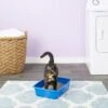 Van Ness Cat Litter Pan, Blue 1 Van Ness Cat Litter Pan, Blue -Pet Supplies Store 70438 MAIN. AC SS1800 V1565284453