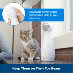 PetSafe Bolt Interactive Laser Cat Toy -Pet Supplies Store 70843 PT4. AC SS1800 V1676318575