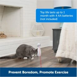 PetSafe Bolt Interactive Laser Cat Toy -Pet Supplies Store 70843 PT5. AC SS1800 V1676317808