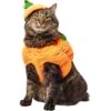 Frisco Pumpkin Ball Dog & Cat Costume 2 Frisco Pumpkin Ball Dog & Cat Costume -Pet Supplies Store 708902 MAIN. AC SS1800 V1689351821