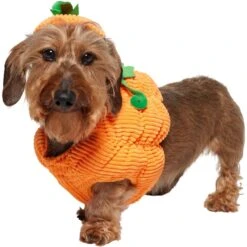 Frisco Pumpkin Ball Dog & Cat Costume -Pet Supplies Store 708902 PT2. AC SS1800 V1689351041