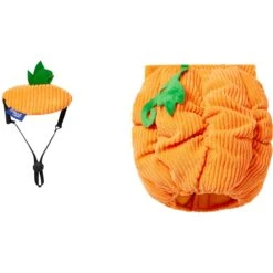 Frisco Pumpkin Ball Dog & Cat Costume -Pet Supplies Store 708902 PT4. AC SS1800 V1689342202
