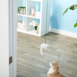 Ethical Pet Door-Able Bouncing Mouse Cat Toy With Catnip, Color Varies 11 Ethical Pet Door-Able Bouncing Mouse Cat Toy With Catnip, Color Varies -Pet Supplies Store 71460 PT4. AC SS1800 V1555940913