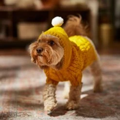 Frisco Sherpa Lined Chunky Cable Knit Dog & Cat Hooded Sweater 16 Frisco Sherpa Lined Chunky Cable Knit Dog & Cat Hooded Sweater -Pet Supplies Store 718374 PT7. AC SS1800 V1692379031