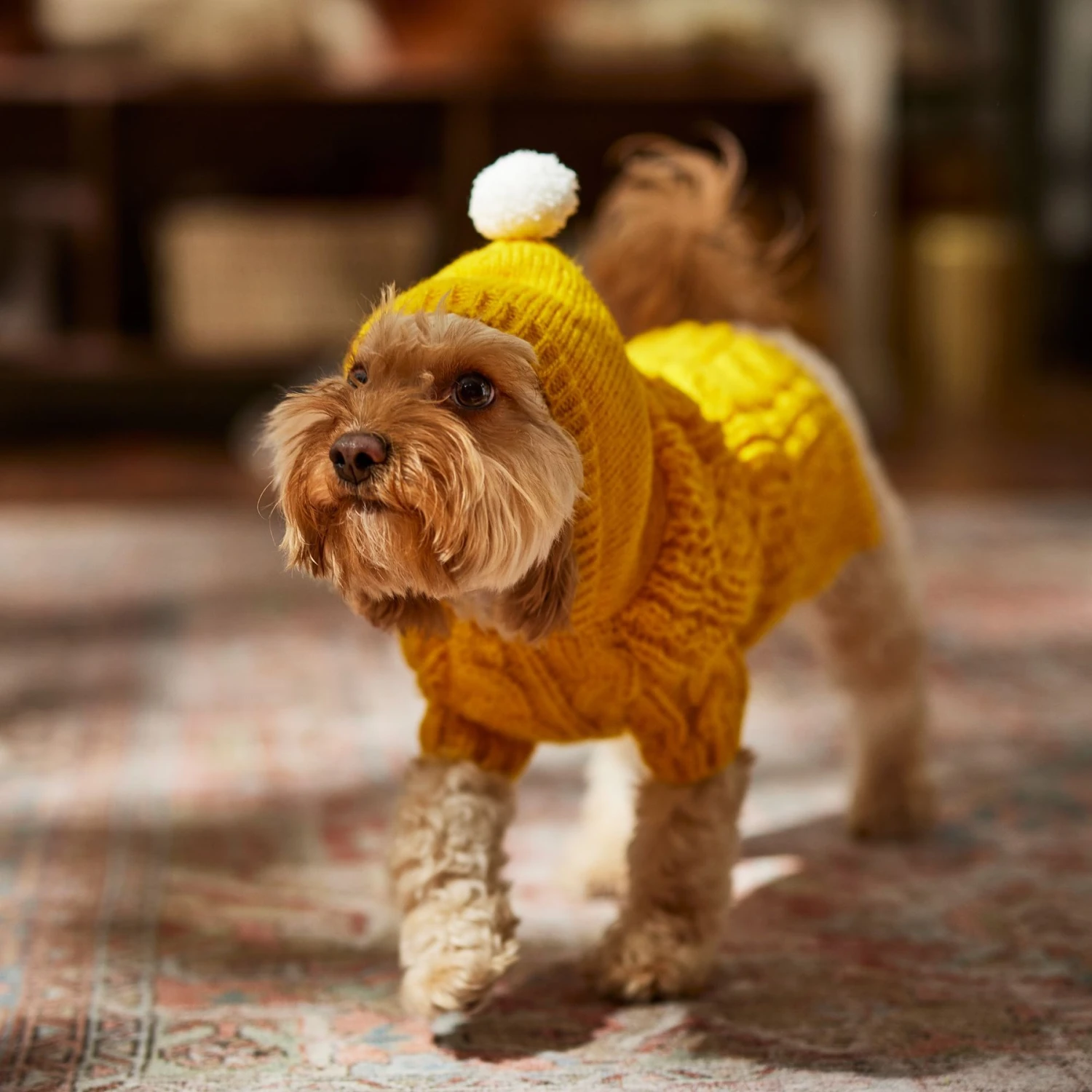 Frisco Sherpa Lined Chunky Cable Knit Dog & Cat Hooded Sweater 9 Frisco Sherpa Lined Chunky Cable Knit Dog & Cat Hooded Sweater - Image 7