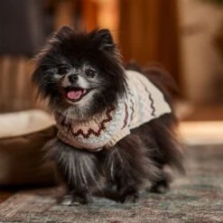 Frisco Sherpa Lined Fairisle Dog & Cat Sweater 16 Frisco Sherpa Lined Fairisle Dog & Cat Sweater -Pet Supplies Store 718422 PT7. AC SS1800 V1692378098
