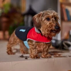 Frisco Medium Weight Retro Colorblock Mixed Media Dog & Cat Coat -Pet Supplies Store 719462 PT7. AC SS1800 V1692379031