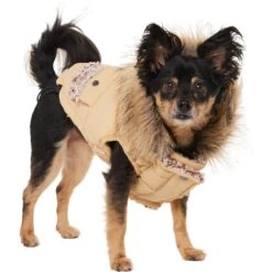Frisco Heavy Weight Matte Quilted Dog & Cat Parka With Cozy Fleece Lining -Pet Supplies Store 719654 PT2. AC SS1800 V1703184629