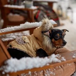 Frisco Heavy Weight Matte Quilted Dog & Cat Parka With Cozy Fleece Lining -Pet Supplies Store 719654 PT7. AC SS1800 V1692376037