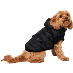 Frisco Heavy Weight Matte Quilted Volume Dog & Cat Puffer 13 Frisco Heavy Weight Matte Quilted Volume Dog & Cat Puffer -Pet Supplies Store 719750 PT2. AC SS1800 V1703184628