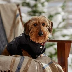 Frisco Heavy Weight Matte Quilted Volume Dog & Cat Puffer 18 Frisco Heavy Weight Matte Quilted Volume Dog & Cat Puffer -Pet Supplies Store 719750 PT7. AC SS1800 V1692377763