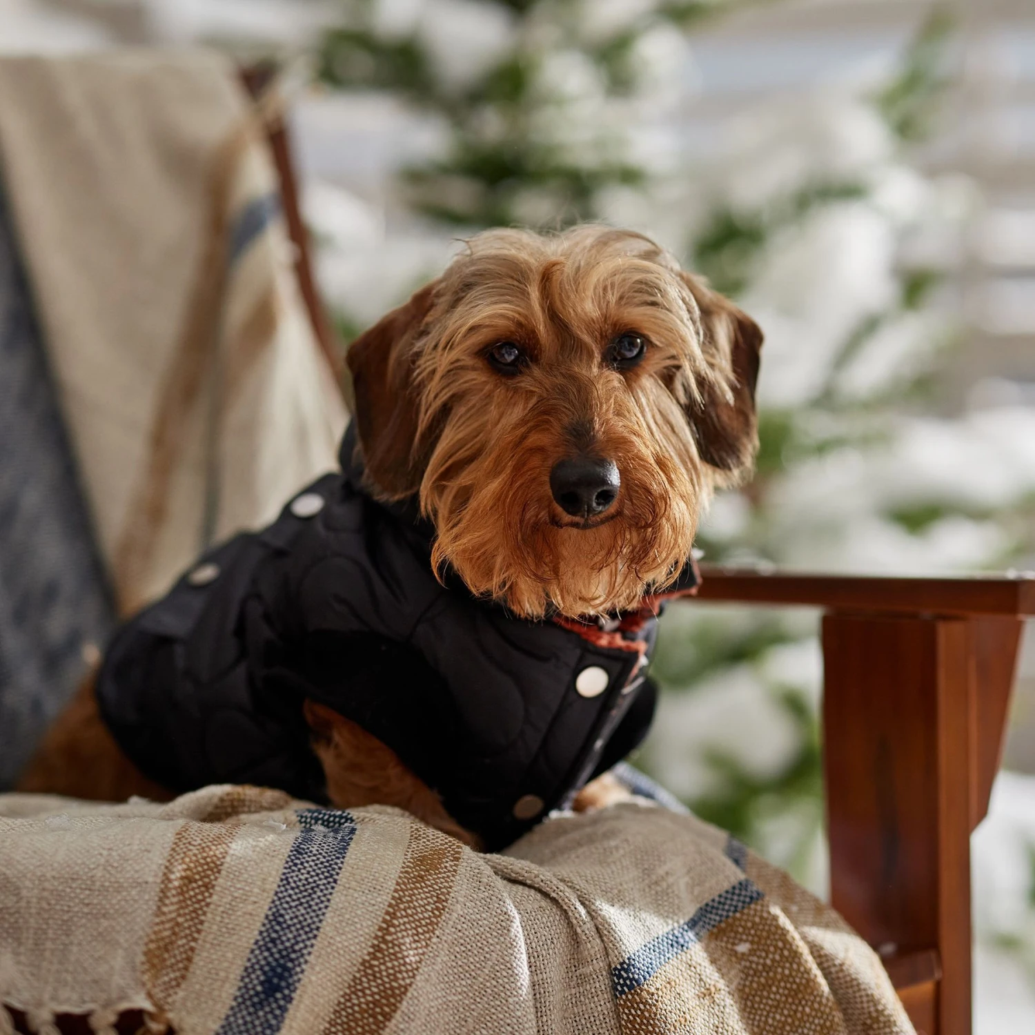 Frisco Heavy Weight Matte Quilted Volume Dog & Cat Puffer 10 Frisco Heavy Weight Matte Quilted Volume Dog & Cat Puffer - Image 8