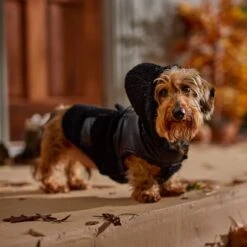 Frisco Medium Weight Faux Leather Dog & Cat Parka With Faux Fur Trimmed Hood, Black -Pet Supplies Store 719798 PT7. AC SS1800 V1692376307