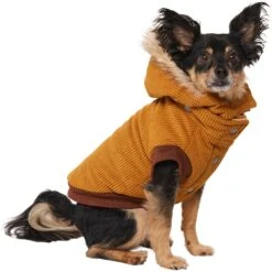 Frisco Heavy Weight Lux Corduroy Insulated Dog & Cat Coat With Fur Trimmed Hood -Pet Supplies Store 719966 PT2. AC SS1800 V1703184628