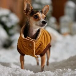 Frisco Heavy Weight Lux Corduroy Insulated Dog & Cat Coat With Fur Trimmed Hood -Pet Supplies Store 719966 PT7. AC SS1800 V1692377819