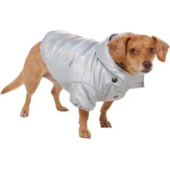 Frisco Heavy Weight Iridescent Quilted Dog & Cat Hooded Puffer Coat -Pet Supplies Store 720038 PT2. AC SS1800 V1703184629