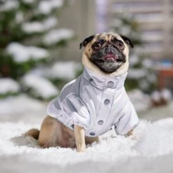 Frisco Heavy Weight Iridescent Quilted Dog & Cat Hooded Puffer Coat -Pet Supplies Store 720038 PT7. AC SS1800 V1692377880