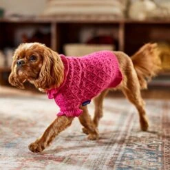 Frisco Ruffle Knit Pointelle Dog & Cat Turtleneck Sweater 16 Frisco Ruffle Knit Pointelle Dog & Cat Turtleneck Sweater -Pet Supplies Store 720646 PT7. AC SS1800 V1692379033