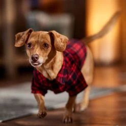 Frisco Red Tartan Plaid Dog & Cat Flannel Shirt 18 Frisco Red Tartan Plaid Dog & Cat Flannel Shirt -Pet Supplies Store 720790 PT7. AC SS1800 V1693401090