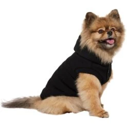 Frisco Quilted Fleece Dog & Cat Pullover Hoodie 13 Frisco Quilted Fleece Dog & Cat Pullover Hoodie -Pet Supplies Store 721030 PT2. AC SS1800 V1703194381