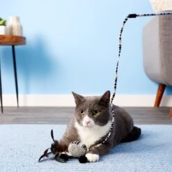 JW Pet Cataction Ball With Wand Cat Toy 10 JW Pet Cataction Ball With Wand Cat Toy -Pet Supplies Store 73759 PT5. AC SS1800 V1525719222