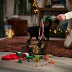 Frisco Holiday Cozy Christmas Sack Variety Pack Cat Toy With Catnip 10 Frisco Holiday Cozy Christmas Sack Variety Pack Cat Toy With Catnip -Pet Supplies Store 740054 PT3. AC SS1800 V1694812461