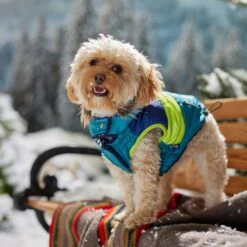 Frisco Heavy Weight Urban City Colorblock Dog & Cat Parka With Sherpa Lining -Pet Supplies Store 742262 PT7. AC SS1800 V1692378161