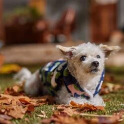 Frisco Medium Weight Urban City Camo Printed Dog & Cat Hooded Coat 18 Frisco Medium Weight Urban City Camo Printed Dog & Cat Hooded Coat -Pet Supplies Store 742358 PT7. AC SS1800 V1692376368