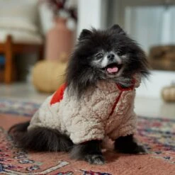 Frisco Medium Weight Quilted Sherpa Dog & Cat Zipper Coat 16 Frisco Medium Weight Quilted Sherpa Dog & Cat Zipper Coat -Pet Supplies Store 744166 PT7. AC SS1800 V1692377763