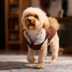 Frisco Medium Weight Quilted Dog & Cat Coat With Cozy Sherpa Lining 18 Frisco Medium Weight Quilted Dog & Cat Coat With Cozy Sherpa Lining -Pet Supplies Store 744310 PT7. AC SS1800 V1692375981