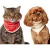 Frisco Reversible Candy Cane Cozy Knit Faux Fur Dog & Cat Pullover Bandana, 1 Count 1 Frisco Reversible Candy Cane Cozy Knit Faux Fur Dog & Cat Pullover Bandana, 1 Count -Pet Supplies Store 745294 MAIN. AC SS1800 V1694813782