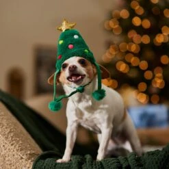 Frisco Christmas Tree Faux Fur Dog & Cat Hat 14 Frisco Christmas Tree Faux Fur Dog & Cat Hat -Pet Supplies Store 745582 PT5. AC SS1800 V1694793444