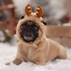 Frisco Sherpa Reindeer Dog & Cat Hat With Bells -Pet Supplies Store 745646 PT5. AC SS1800 V1694795597