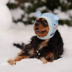 Frisco Nordic Ears Sweater Knit Dog & Cat Hat -Pet Supplies Store 745710 PT5. AC SS1800 V1695671059