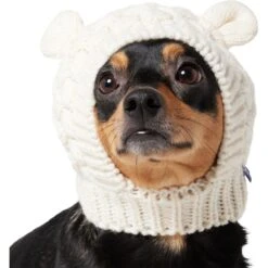Frisco Polar Bear Sweater Knit Dog & Cat Hat -Pet Supplies Store 745742 PT2. AC SS1800 V1694793756