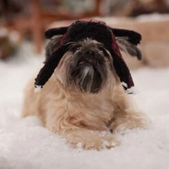 Frisco Tartan Plaid Dog & Cat Trapper Hat -Pet Supplies Store 746750 PT5. AC SS1800 V1694800749