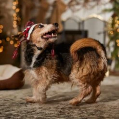 Frisco Nordic Pawprint Dog & Cat Hat 14 Frisco Nordic Pawprint Dog & Cat Hat -Pet Supplies Store 746782 PT5. AC SS1800 V1694799891