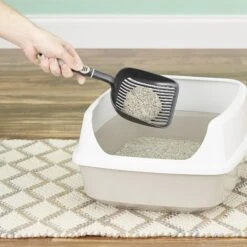 Dr. Elsey's Touch Of Outdoors Stress-Reducing Clumping Clay Cat Litter -Pet Supplies Store 74755 PT3. AC SS1800 V1525471677
