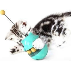 Shele Tumbler Interactive Cat Toy, Turquoise 17 Shele Tumbler Interactive Cat Toy, Turquoise -Pet Supplies Store 771334 PT7. AC SS1800 V1676052574