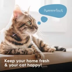 Litter Genie Plus Cat Litter Disposal System -Pet Supplies Store 780782 PT3. AC SS1800 V1684609649