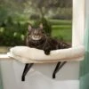 Frisco Plush Cat Window Perch With Removeable Bolster 2 Frisco Plush Cat Window Perch With Removeable Bolster -Pet Supplies Store 804630 MAIN. AC SS1800 V1695933061