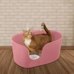 Richell PAW TRAX High Wall Cat Litter Box, X-Large 11 Richell PAW TRAX High Wall Cat Litter Box, X-Large -Pet Supplies Store 805006 PT3. AC SS1800 V1678913083
